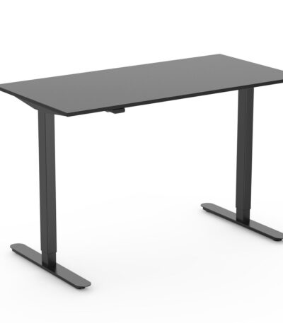 Nex Electric Sit Stand Desk in Black